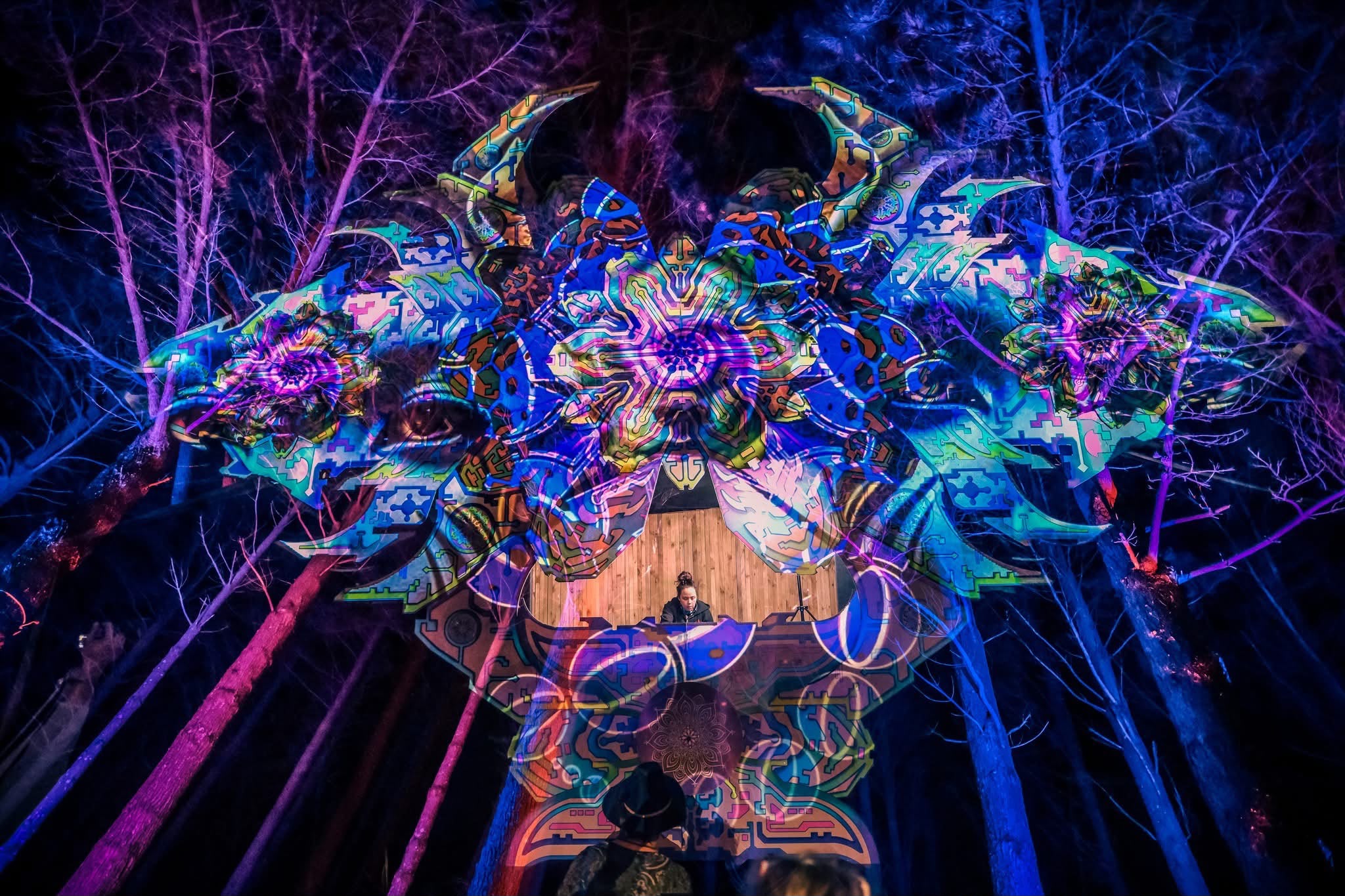 Psychedelic stage artwork framed by illuminated trees