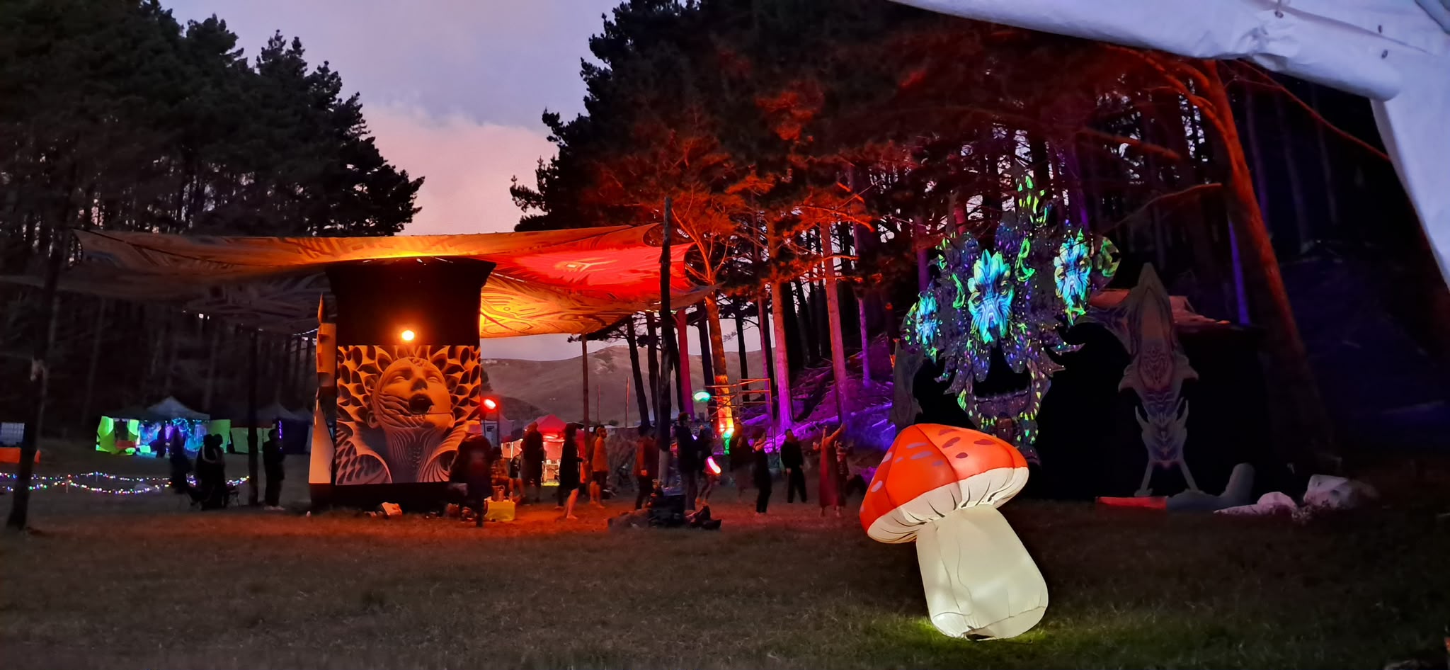 Forest festival grounds with illuminated art at dusk