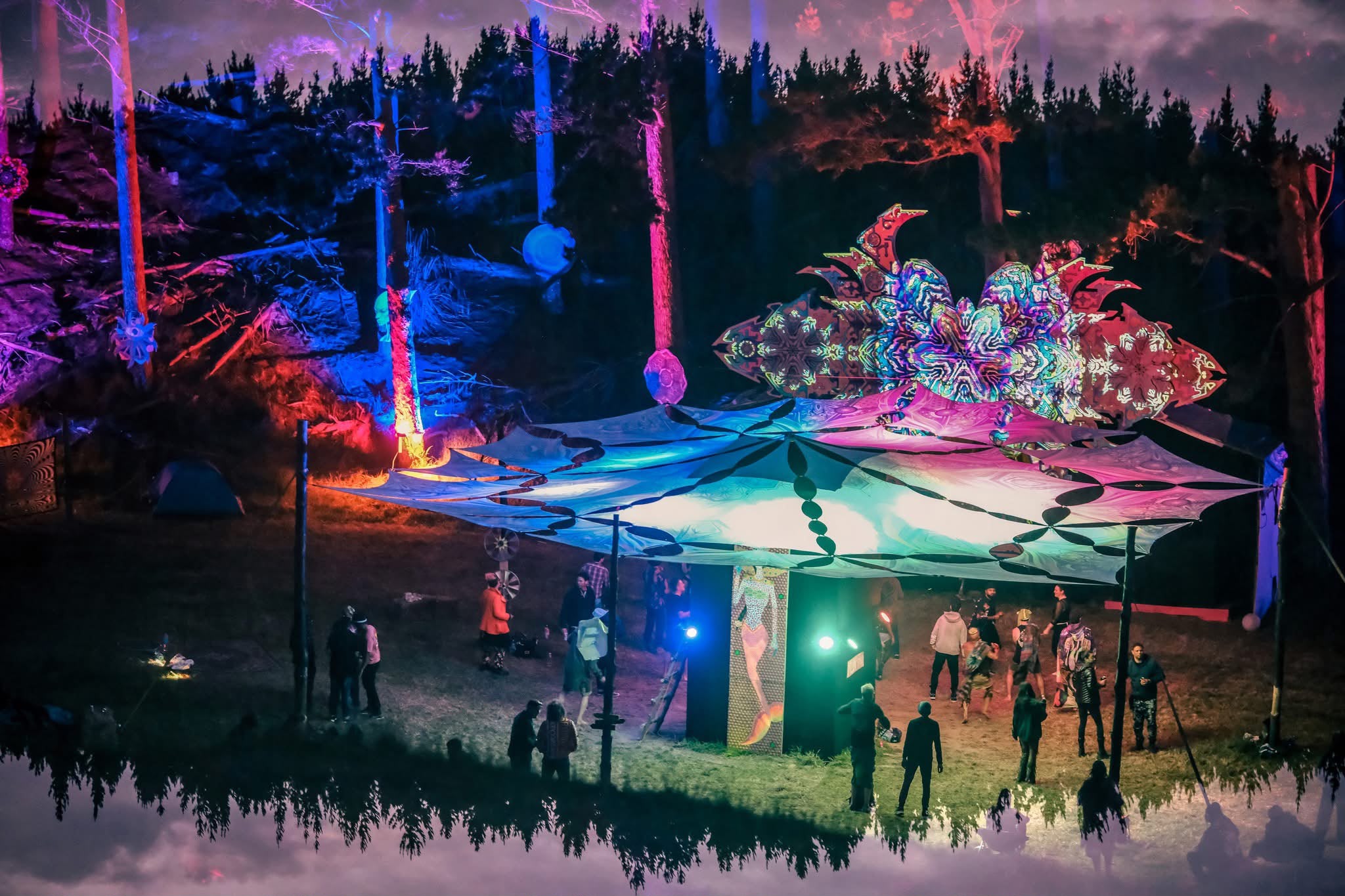An artistic layered view of the forest dancefloor